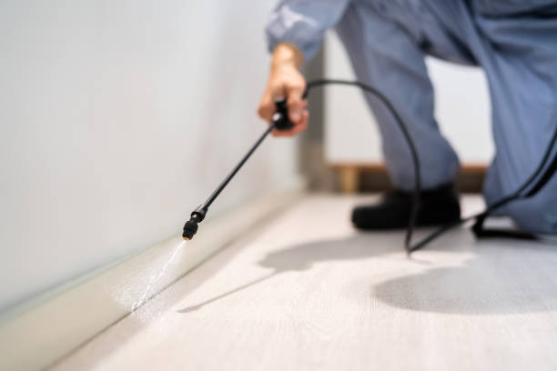 Bed Bug Pre-Treatment Preparation Assessment in Princeton