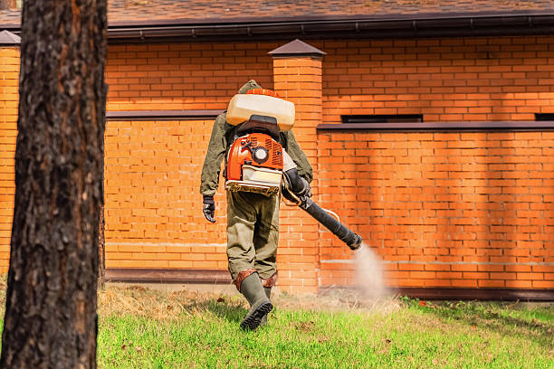 Bed Bug Clearance Verification and Documentation in Princeton